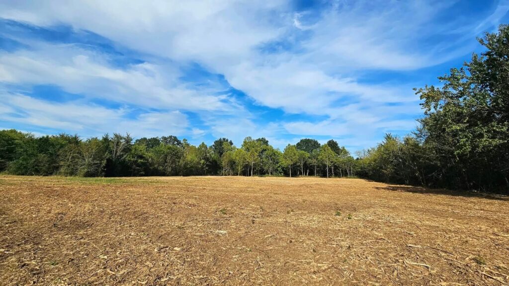 Wide-angle photo of a flat, brown cultivated or harvested field with dry residue, bordered by a dense line of green and changing autumn trees under a bright blue sky with white clouds.