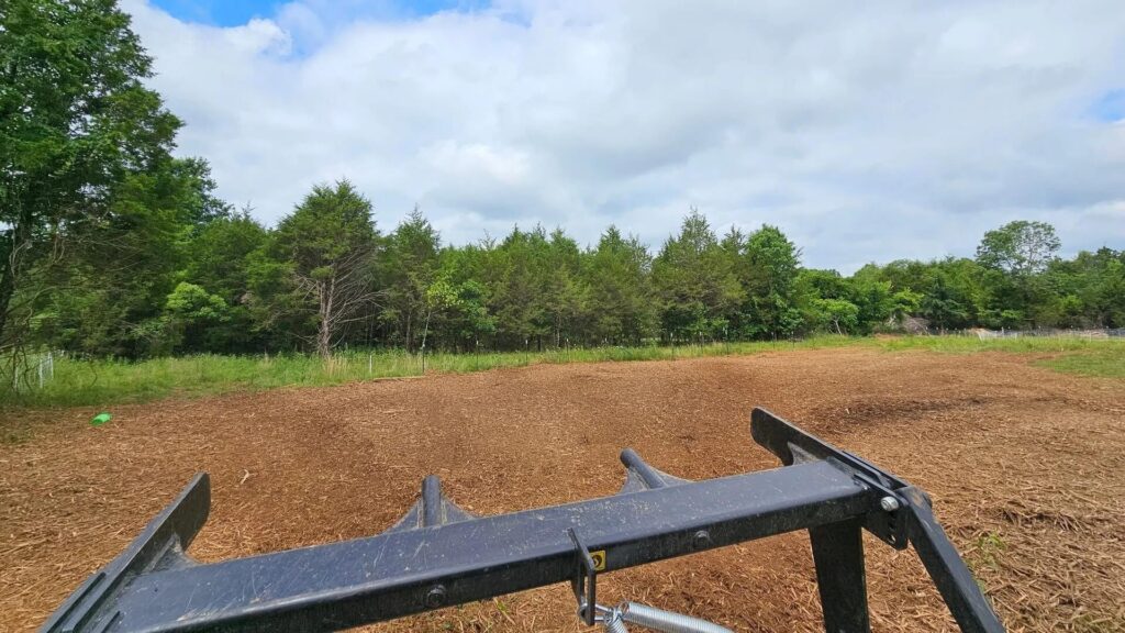 View from heavy equipment showing the black steel attachment over a wide field of tilled brown earth with tire tracks, lined by parallel rows of young pine and deciduous trees under a bright sky.