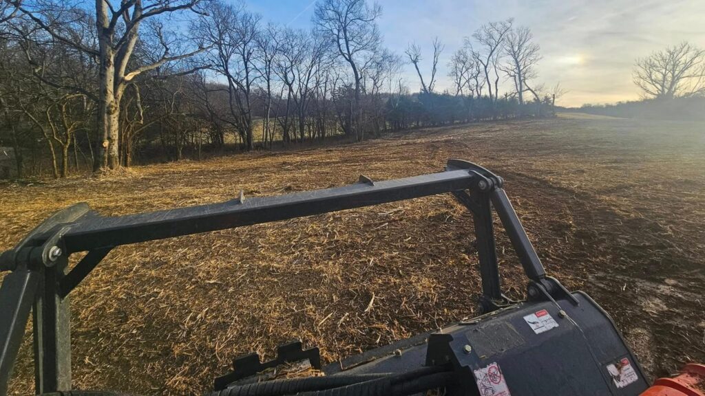 Wide-angle photograph of a flat, brown cultivated or harvested field with dry residue in the foreground, backed by a dense line of green and pale green trees under a bright blue sky with wispy white clouds.